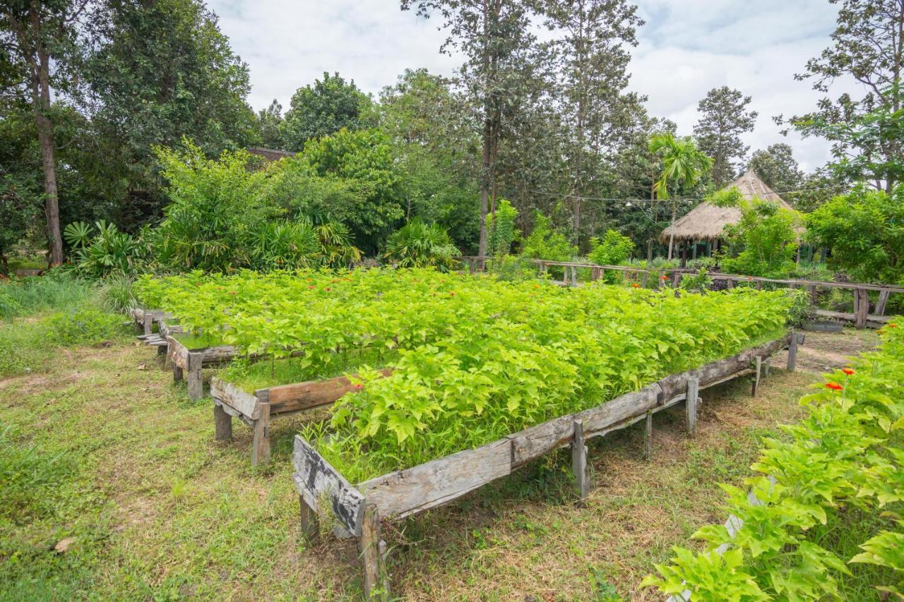 Bong Thom Forest Lodge Siem Reap Eksteriør billede